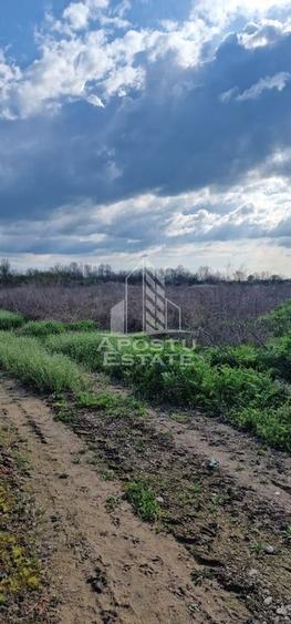 Teren intravilan , curent , apa , nr de casa Sacosu Turcesc - 4