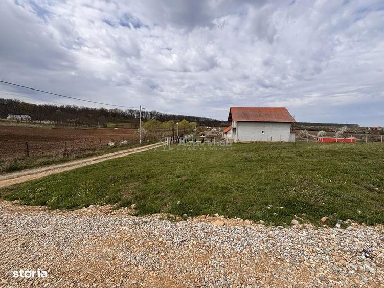 Teren Intravilan Pausa - 1