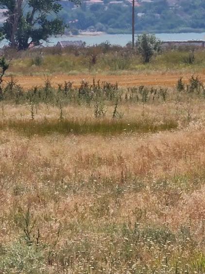 Techirghiol - Teren intravilan - 2