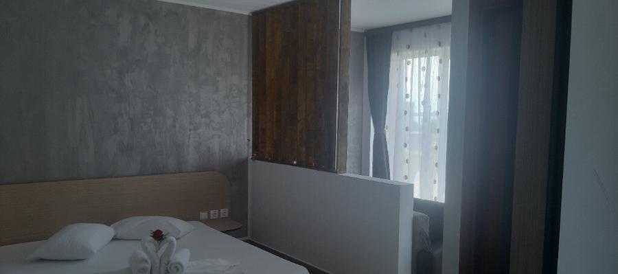 Pensiune in techirghiol - 4