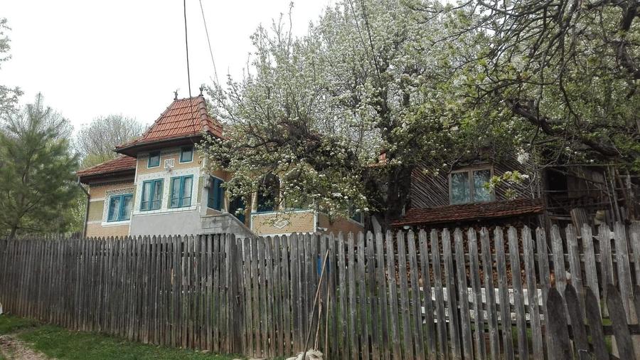 VAND CASA BATRANEASCA, 3,1 HA IN JURUL CASEI, COM.CETATENI - 3