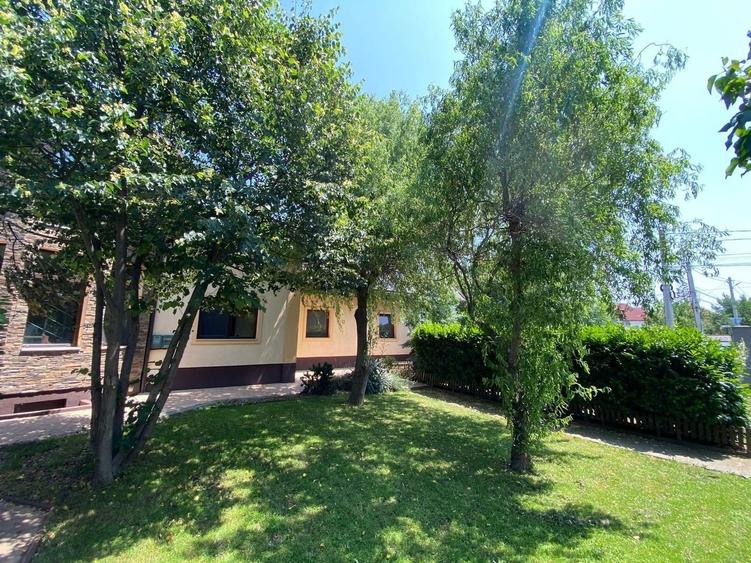 Vilă cu 8 camere, amplasament ultracentral-Dumbrăvița - 6