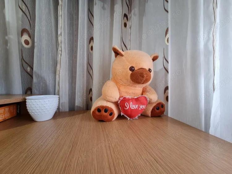 Arena Mall- 22 Decembrie- 2 camere decomandate- prima inchiriere - 7