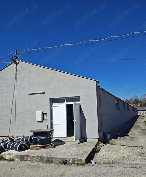 Hala la cheie Zona Vladesti - 4