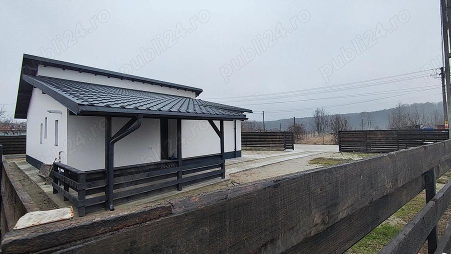 Casa Albota strada Necsulesti - 4