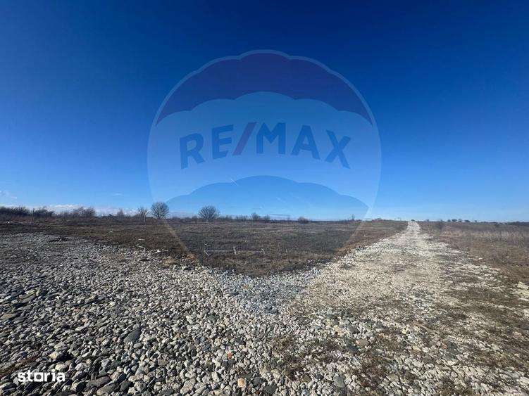 Teren Intravilan cu PUZ Aprobat ?i Vedere Panoramica Selimbar/Mohu - 5