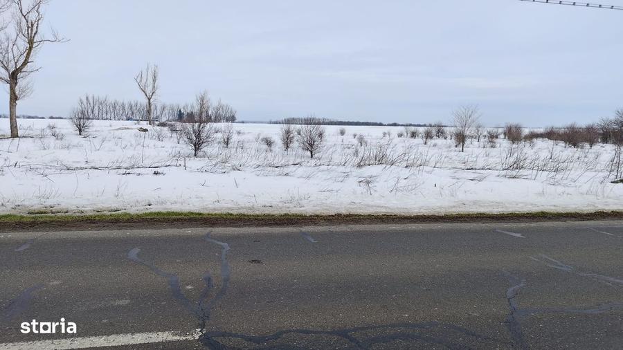 INCHIRIEZ TEREN FRUMUSANI - 5