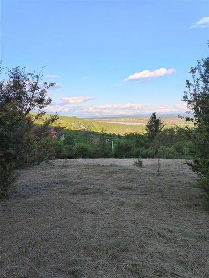 RECO Teren intravilan zona Podgoria - 3