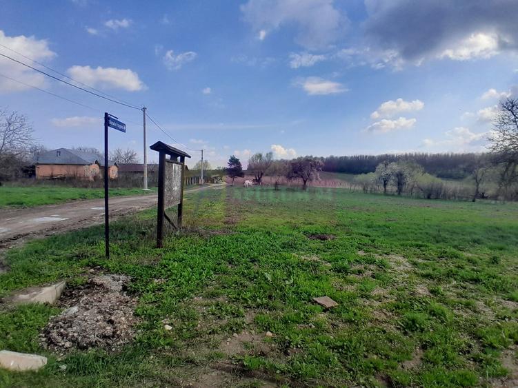 DE VANZARE TEREN 3400 MP IN SAT PODU ILFOVAT / COM BUTURUGENI (GR) - 6