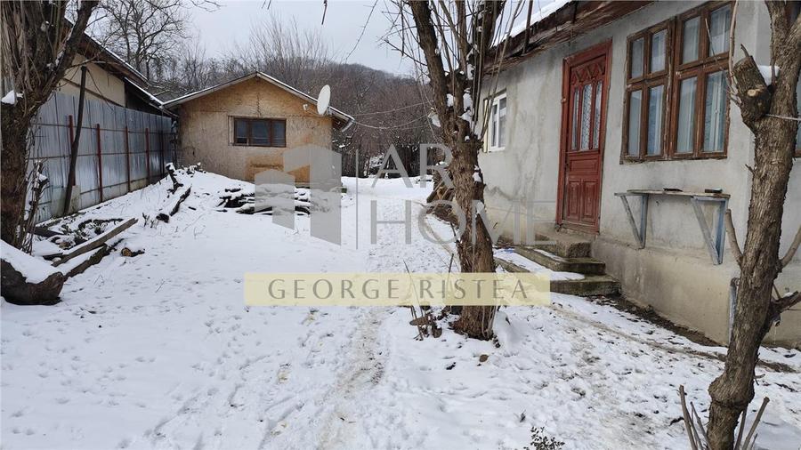 Teren 3310 mp + Casa Batraneasca Bobolia - 6