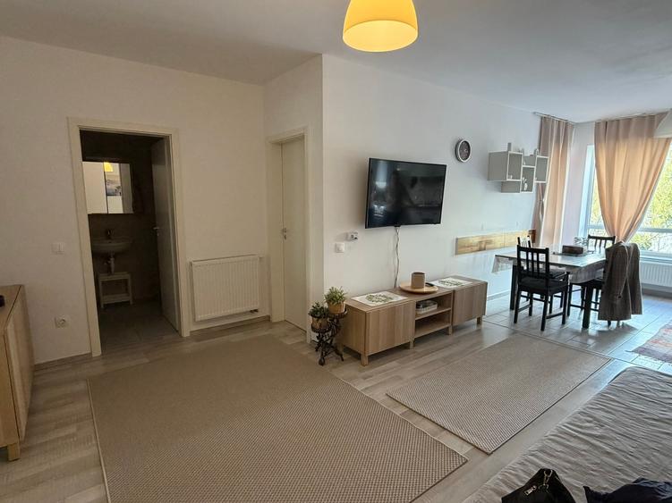 Inchiriere studio mobilat si utilat Aavantgarden3 Brasov - 4