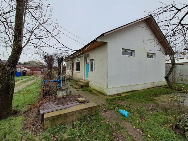 Casa de vanzare (inclus teren 5000 mp) - 2