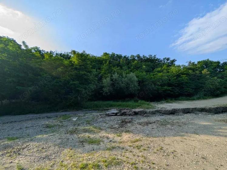 Sarata Bai- Oportunitate investi?ie- 4038 mp- priveli?te spectacol - 7