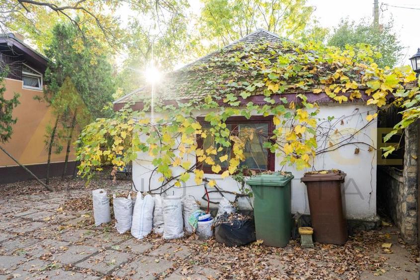 Proprietate Exclusivista cu Deschidere Spectaculoasa la Apa – Domeniu Privat cu - 11