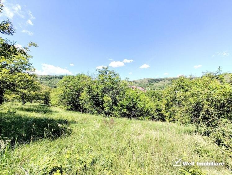 Teren intravilan pentru constructie imobil, Suceagu - 2