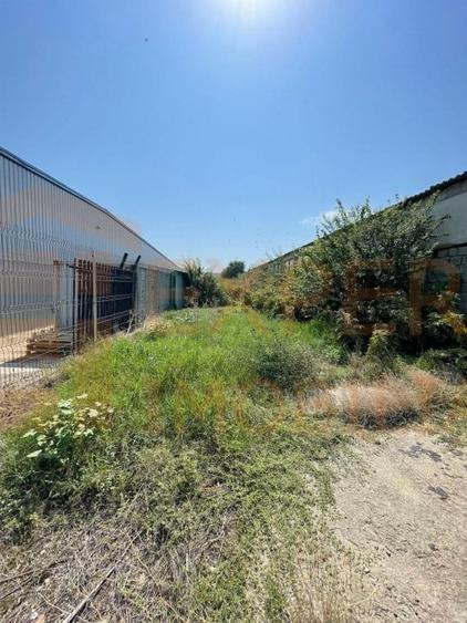 Hala situata in Ovidiu - 18