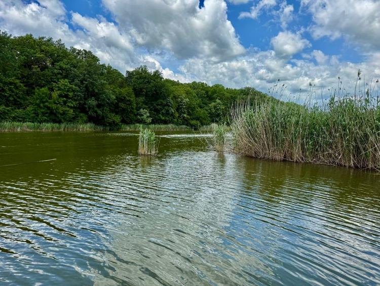 De vanzare teren superb cu deschidere la lacul si padurea Snagov - 7