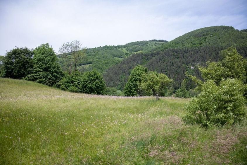 Teren intravilan - 1.050 mp &icirc;n Bran cu utilitati - priveliște Bucegi - 7