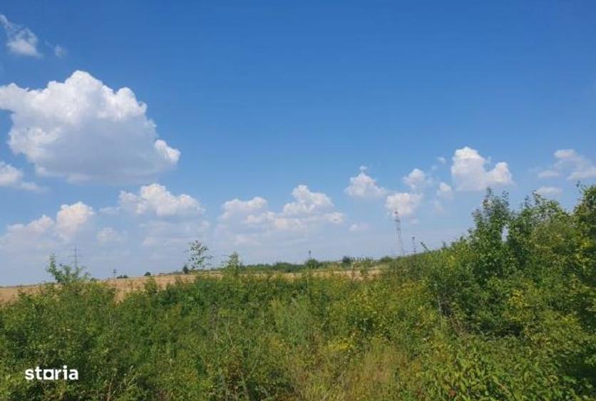 Cota 2/6 din teren extravilan- Localitatea Ghiroda , judetul Timis, - 4