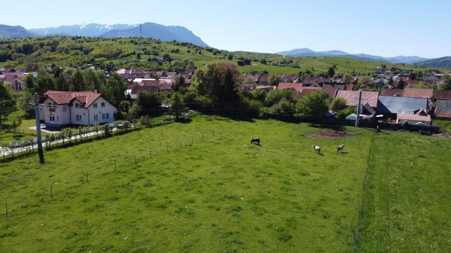 Teren plat P +4 Bran, panoramic munti, DN73, toate utilitatile - 4