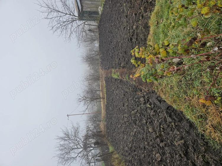 Casa cu etaj de vanzare - 4