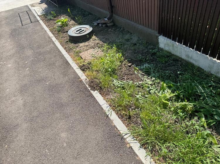 Casa veche si teren generos Bailesti - 2