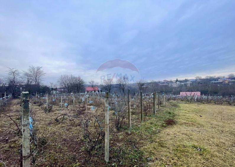 Casa cu teren Neicu/Panciu - 1