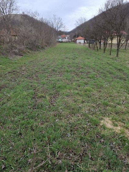 Casa 3 camere, bucatarie, baie , beci , teren 2500mp , Subcetate, Hunedoara - 4