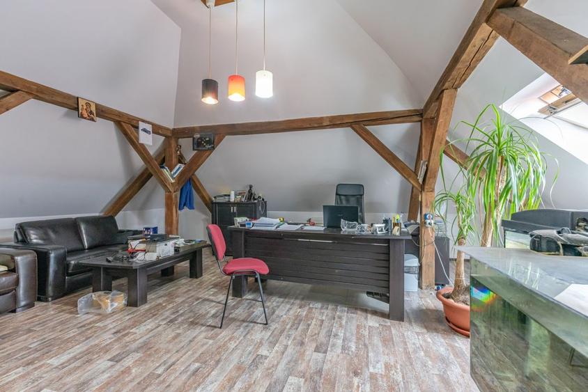 CASA BARTOLOMEU- sediu firma/ comercial/ servicii- zona circulata - 6