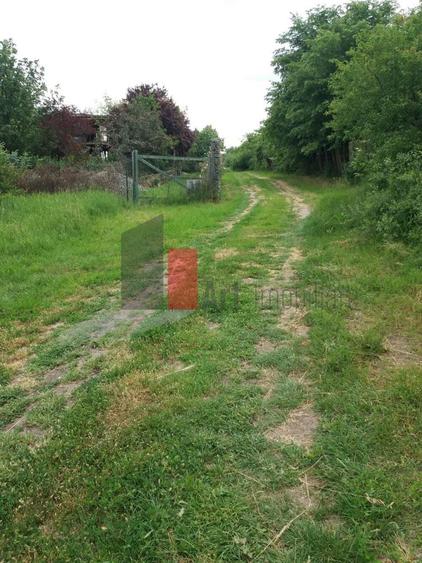 Teren Buftea cu iesire la lac - 13