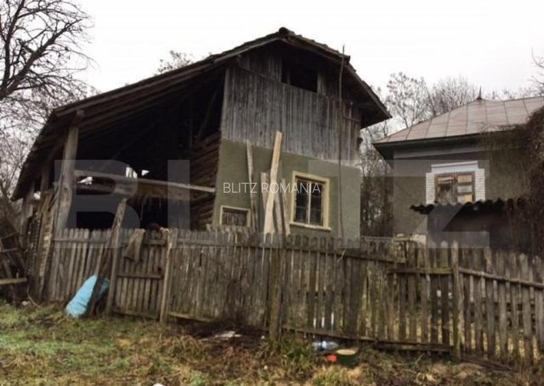 Casa de vacanta din lemn, sat Magura, Bezdead