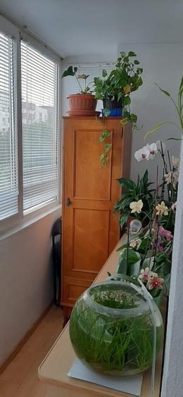 Garsoniera, sos. Panduri - 5