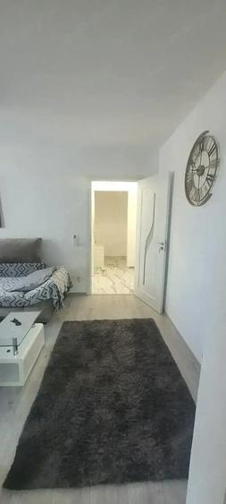 vand apartament 2 camere tunsu petre - 5