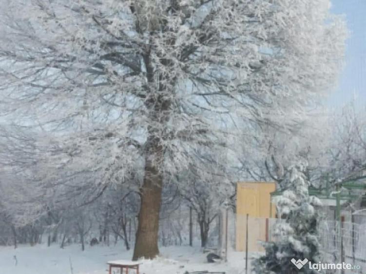 Casa duplex, 100 mp, zona Paun - 5