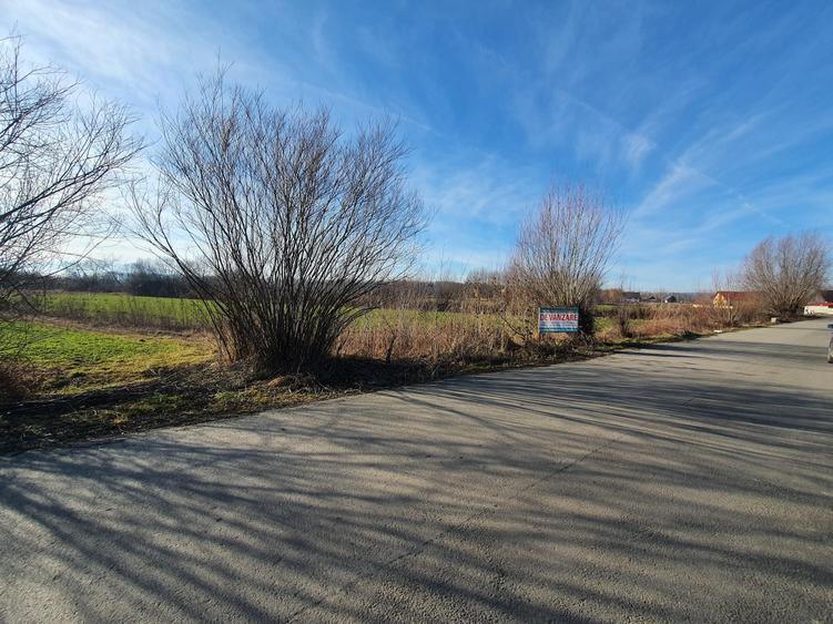 Teren de vânzare – Brașov, Lunca Câlnicului - 6