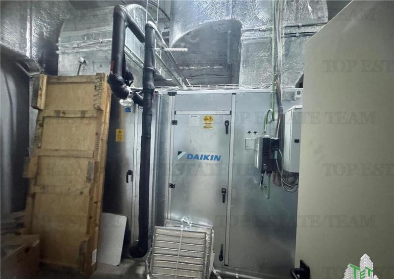 Spatiu industrial de inchiriat Central / Vitan - 13