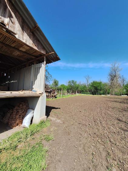 Casa la tara Movila Miresii - 4