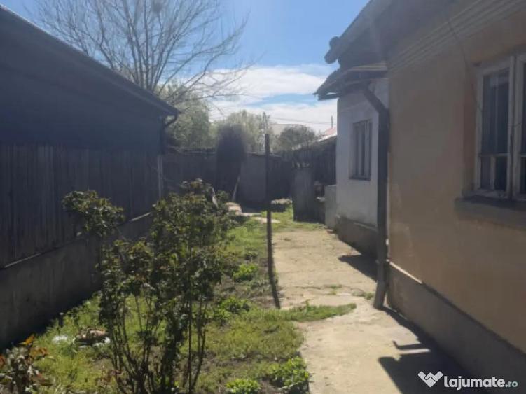 Casa pe parter, 240 mp teren, zona Brestei - 6