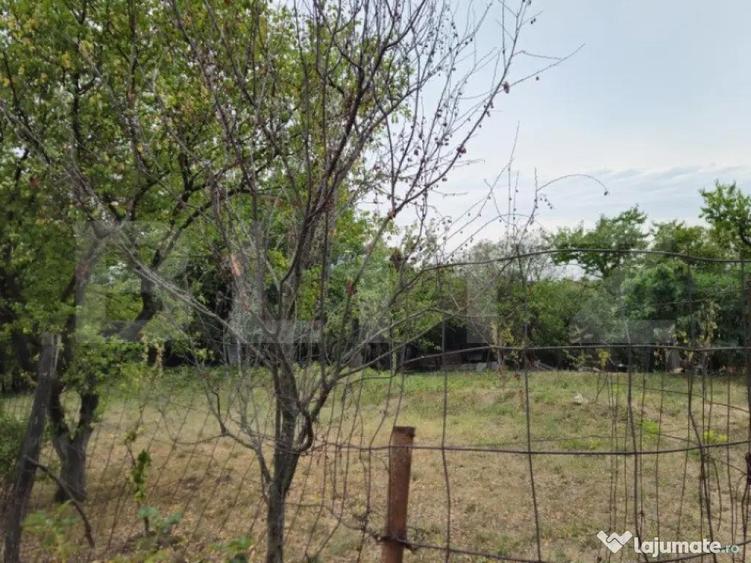 Teren extravilan 17524 mp, expunere sudica, Viforata - 2