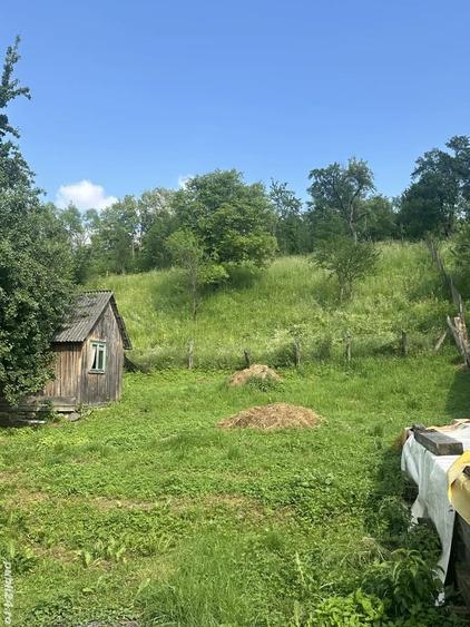 De vanzare casa la ?ara lini?te, natura ?i izvor de apa sarata! - 2