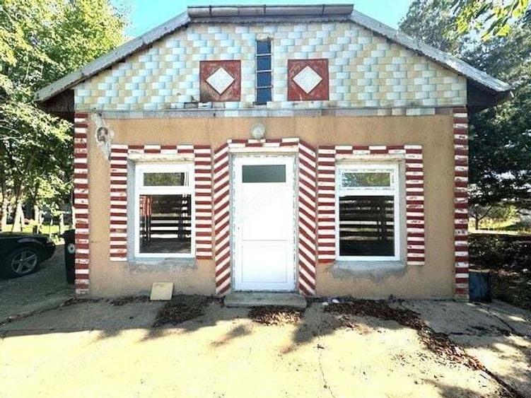 Casa S+P+1E+M pe un teren de 1430 mp in Coteana - 11