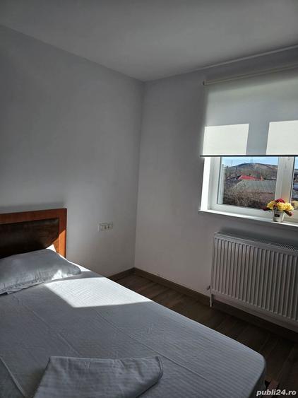 Cazare Echipe Muncitori Murfatlar Zack Studio - 7