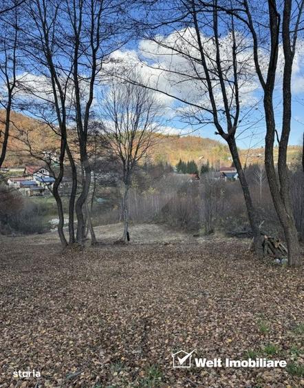 Teren spectaculos, intravilan, Feleacu, zona linistita, padure + para - 1
