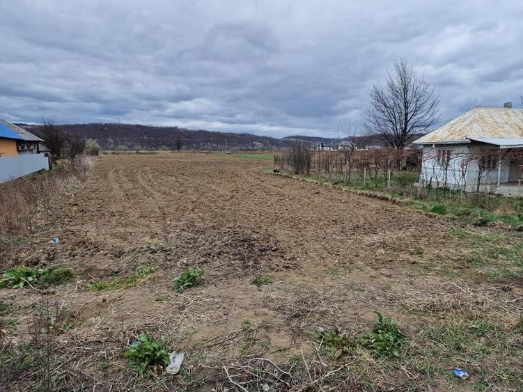 Teren intravilan in Sanduleni/Bacau de vanzare - 8