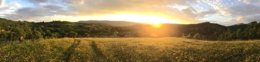 Teren intravilan - 3