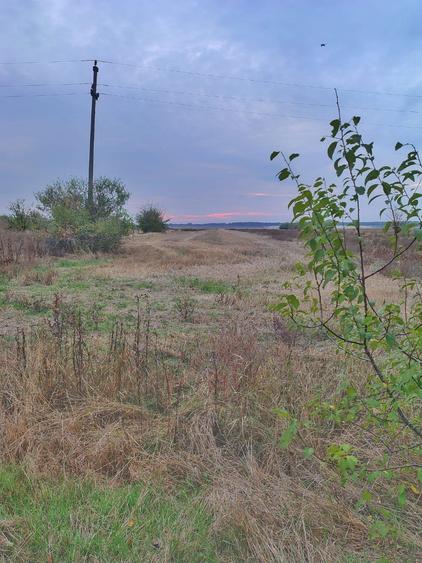 Unic proprietar vand teren intravilan+casa+anexa +teren extravil - 3