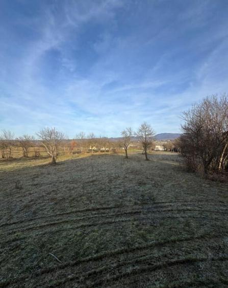 Doua case pe acela?i teren, 180 mp utili, 25 ari, ?indre? - 18