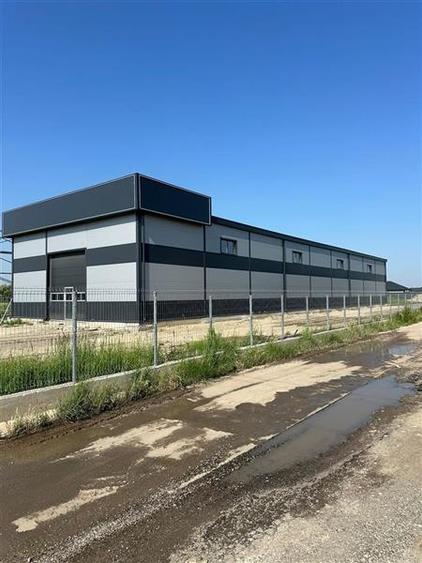 Vanzare depozit/hala/spatiu industrial Chiajna - Ciorogarla - A1-A 0, ILFOV - 5