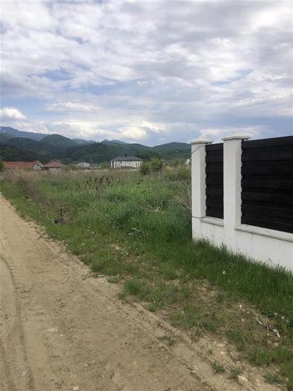 Teren intravilan Cristian 1000 mp - 3