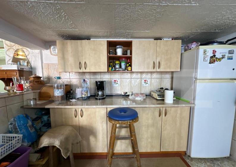 Casa saseasca de vanzare, curte, gradina, teren 3000 mp - Ji - 3